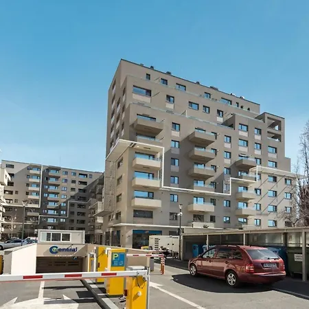 Zen 5 In Stefan Cel Mare * Bucharest