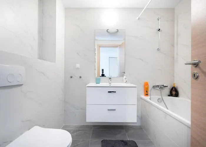 Zen 5-6 Apartments In Stefan Cel Mare *