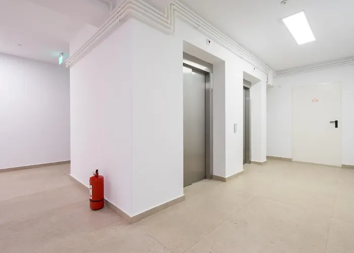 Zen 5-6 Apartments In Stefan Cel Mare *